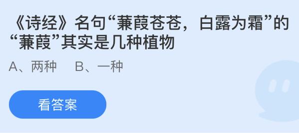 诗经名句蒹葭苍惨白露为霜的蒹葭原来是高德娱乐几种植物？蚂蚁庄园1112今日谜底最新(图1)