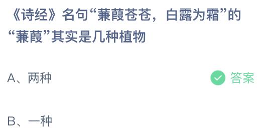 诗经名句蒹葭苍惨白露为霜的蒹葭原来是高德娱乐几种植物？蚂蚁庄园1112今日谜底最新(图2)